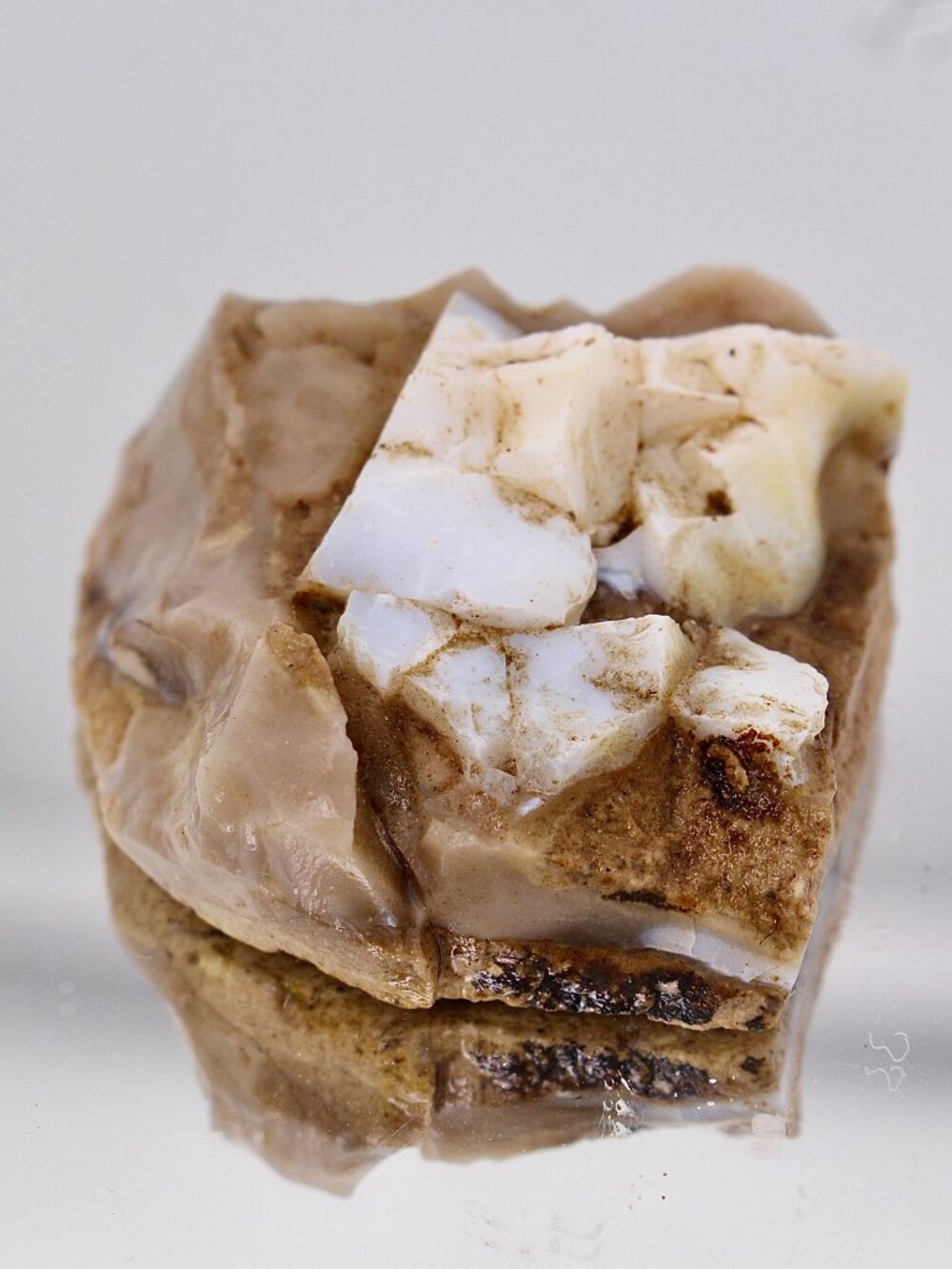 Virgin Valley Opal Petrified Wood Log Limb Cast Raw Rough Specimen Nevada 26.4g